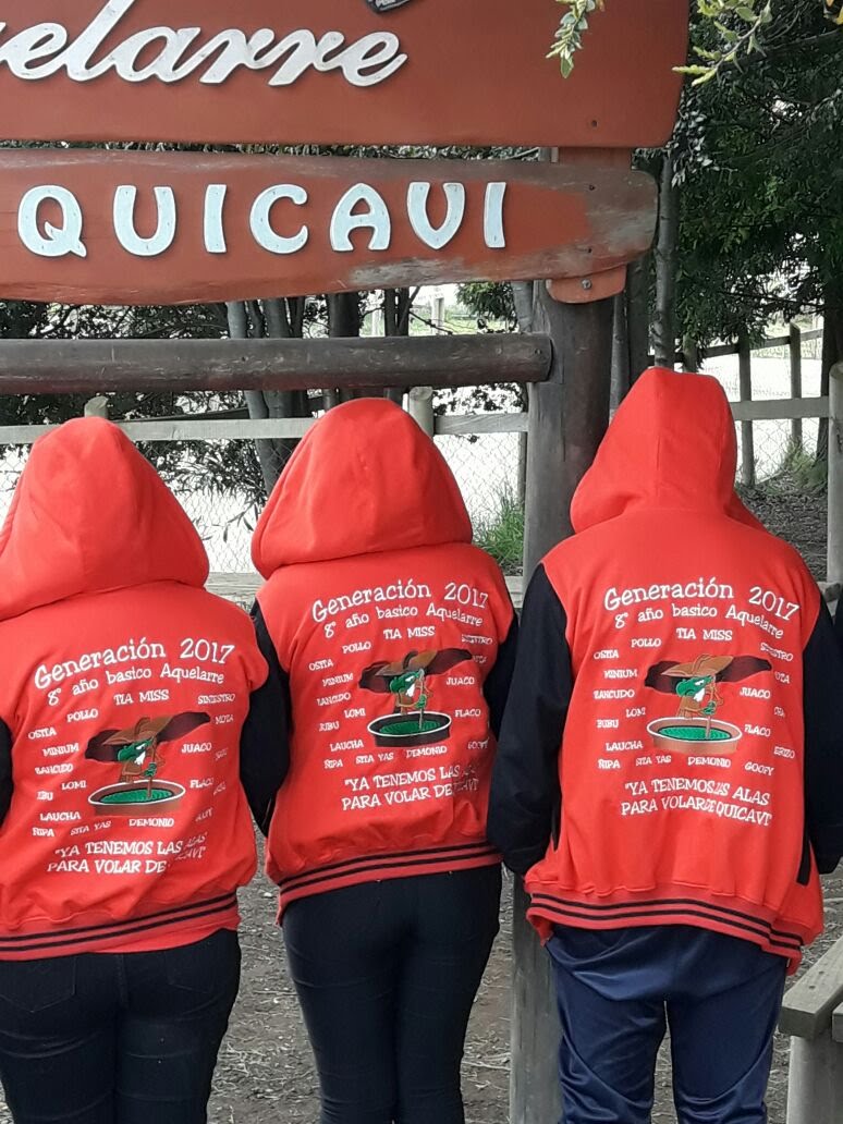 Polerón generacional 2017